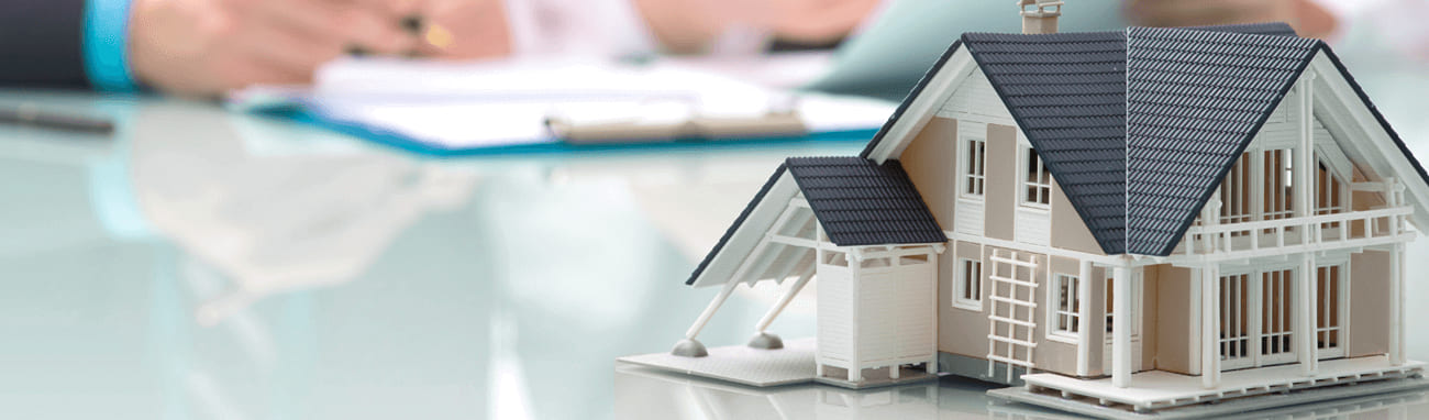 Inmobiliaria Platinum