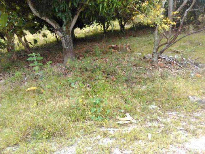 Terrenos en venta en Olancho, Tegucigalpa Quierocasa.hn